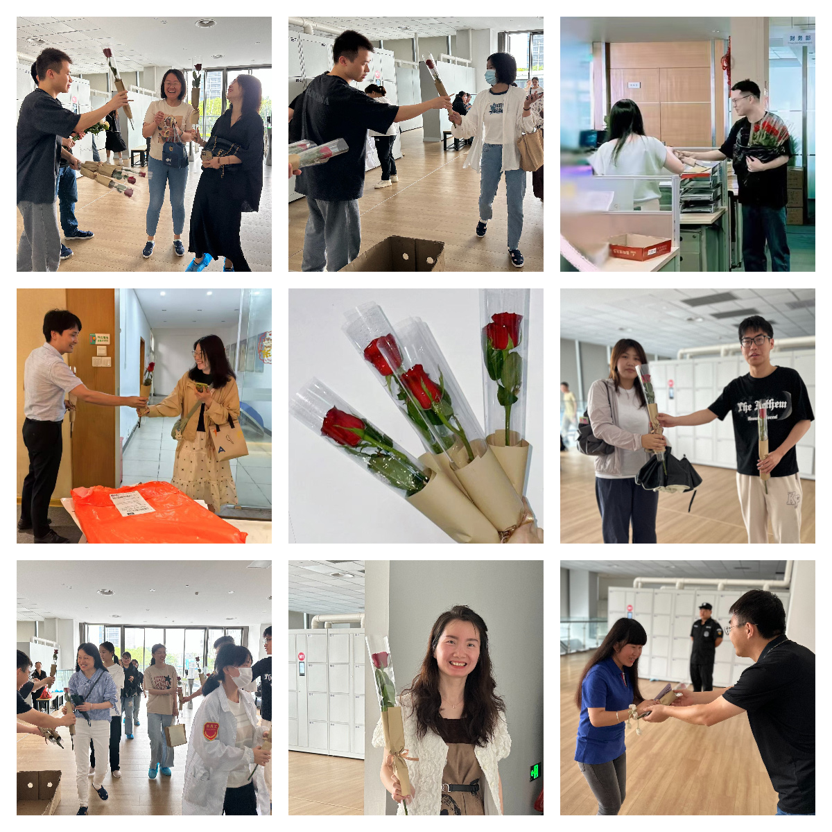 以玫瑰之名，致敬每一個(gè)發(fā)光的你(圖2)